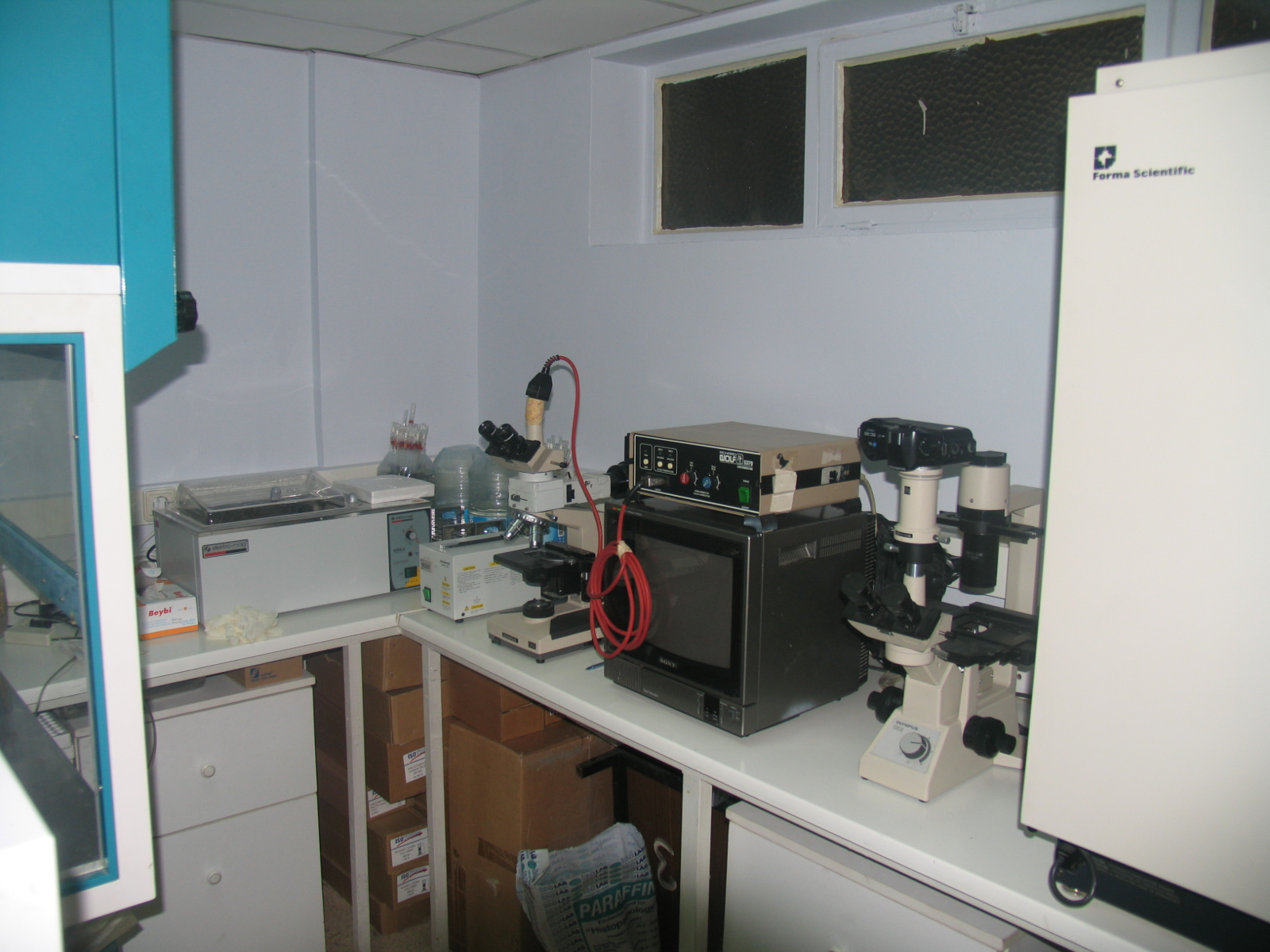 2008-LAB III.JPG (602 KB)