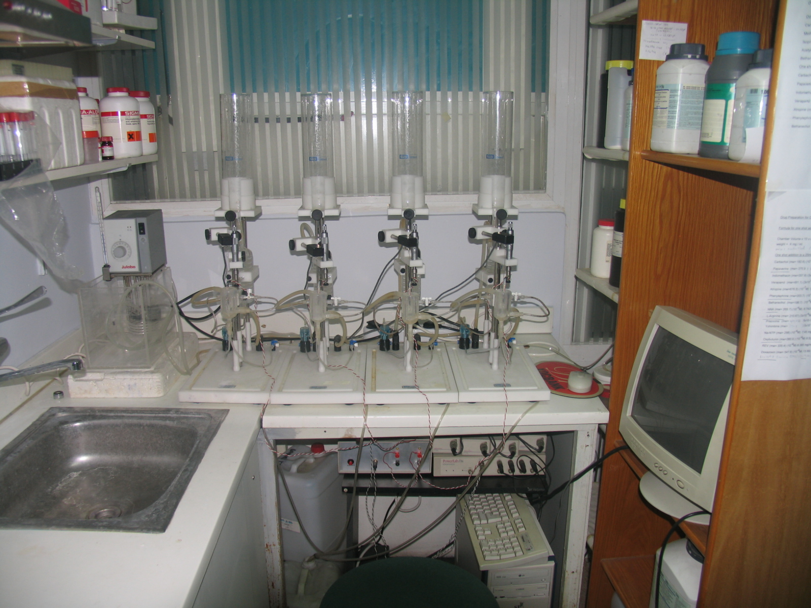 2008-LAB IV.JPG (748 KB)